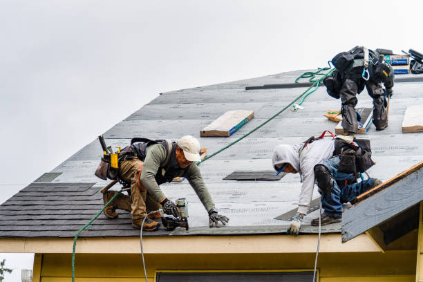 Professional Storm Damage Roof Repair technician working in Batavia, NY
